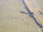 6.24-25.06 Memaloose Lake 045 